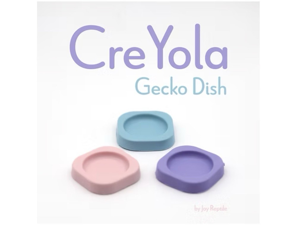 Gecko Feeding Dishes