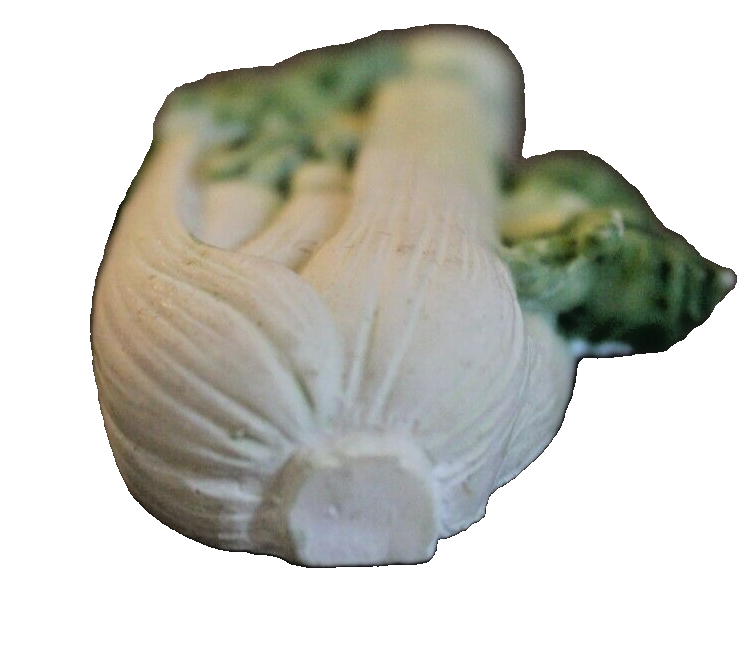 Celery stalk vintage refrigerator magnet