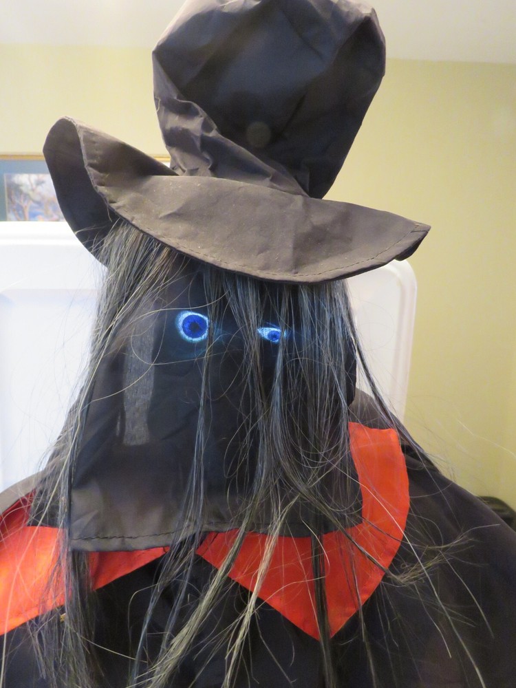 Motion Activated Halloween Decoration