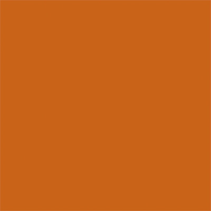 Lexicon Bethany Queen Metal Platform Bed in Orange