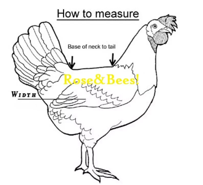 Chicken Saddle Adjustable Straps W Snaps Hen Apron Feather Protector Jacket Wing