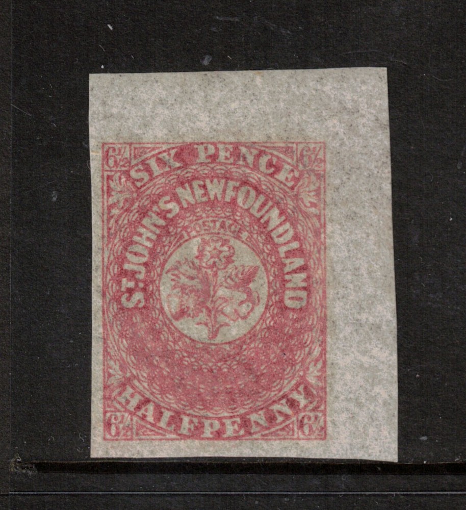Newfoundland #21 Extra Fine Never Hinged Margin Copy **With Certificate**