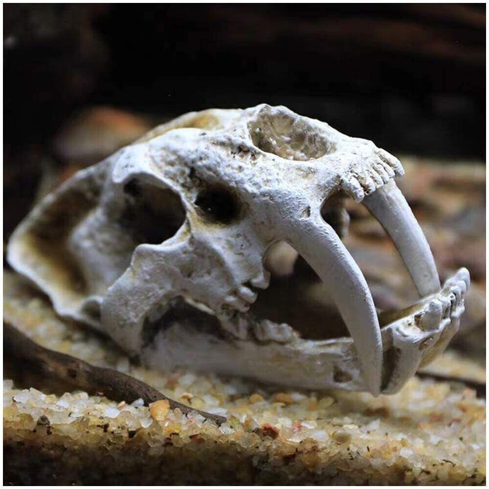 Resin Dinosaur Skull Model Replica Imitation Bone Skeleton Decor