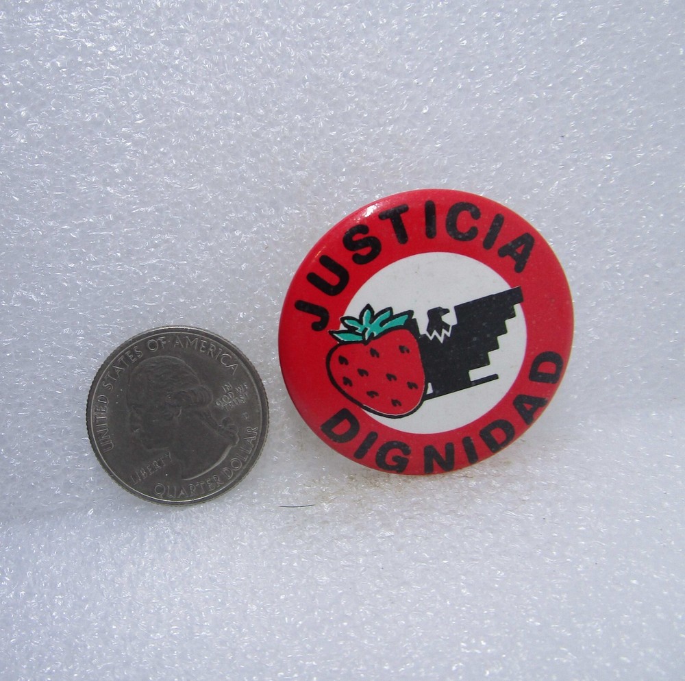 Justicia Dignidad Button Pin