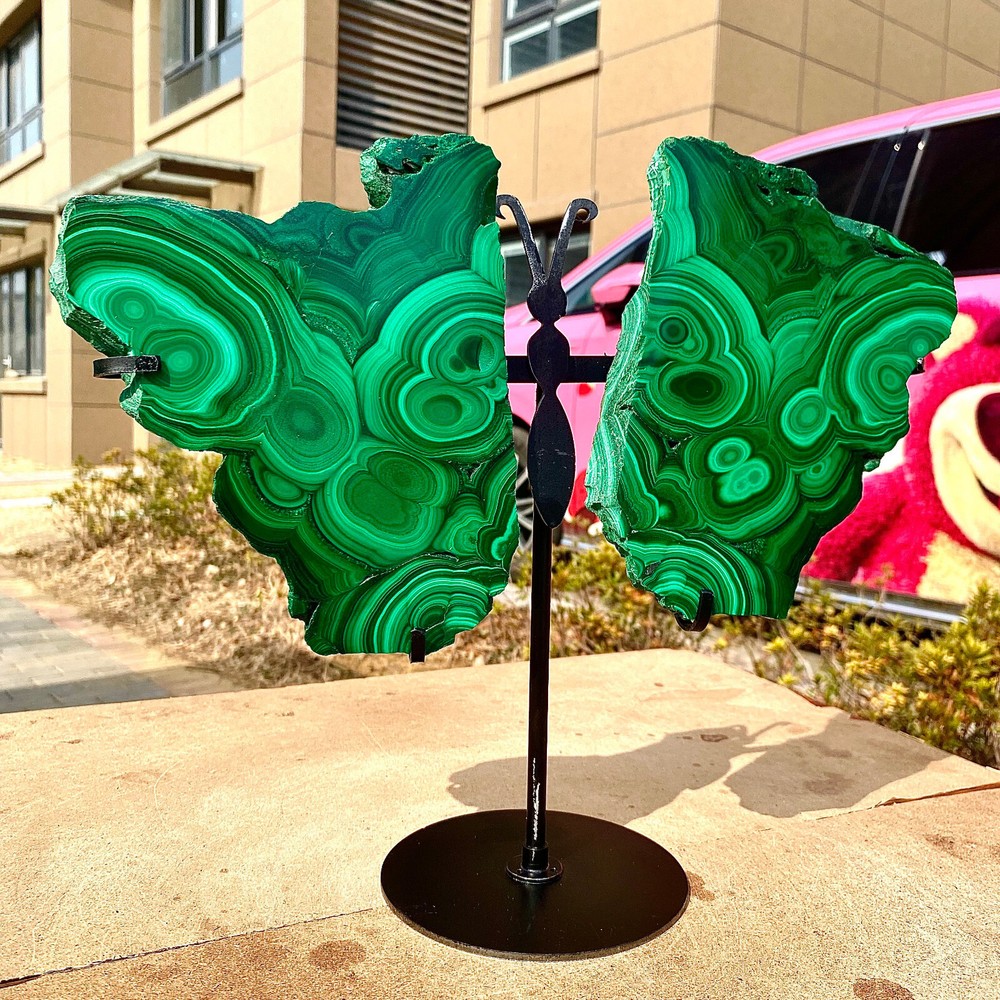 2.05+2.4LB Natural crystal Malachite wing Crystal Healing + brackets