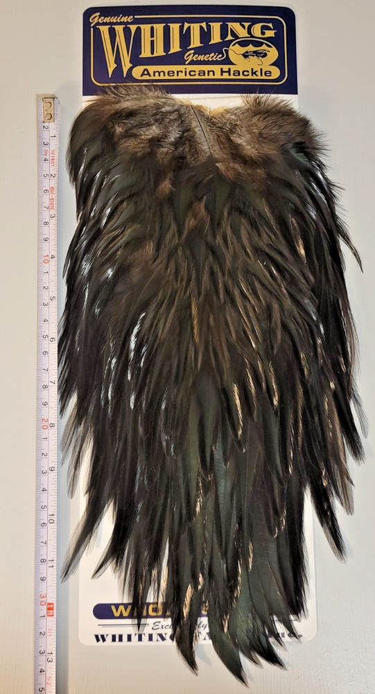 Whiting American Rooster Saddle, Black, Fly Tying