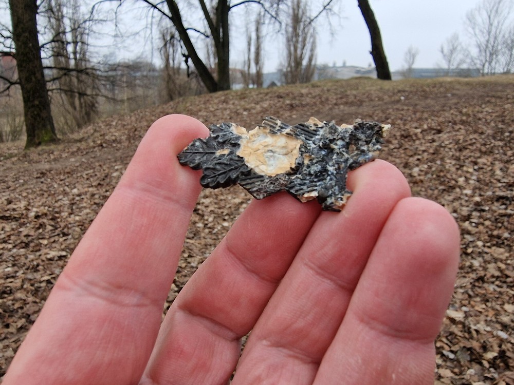 WW2 Original German Badges Front Item Relic.