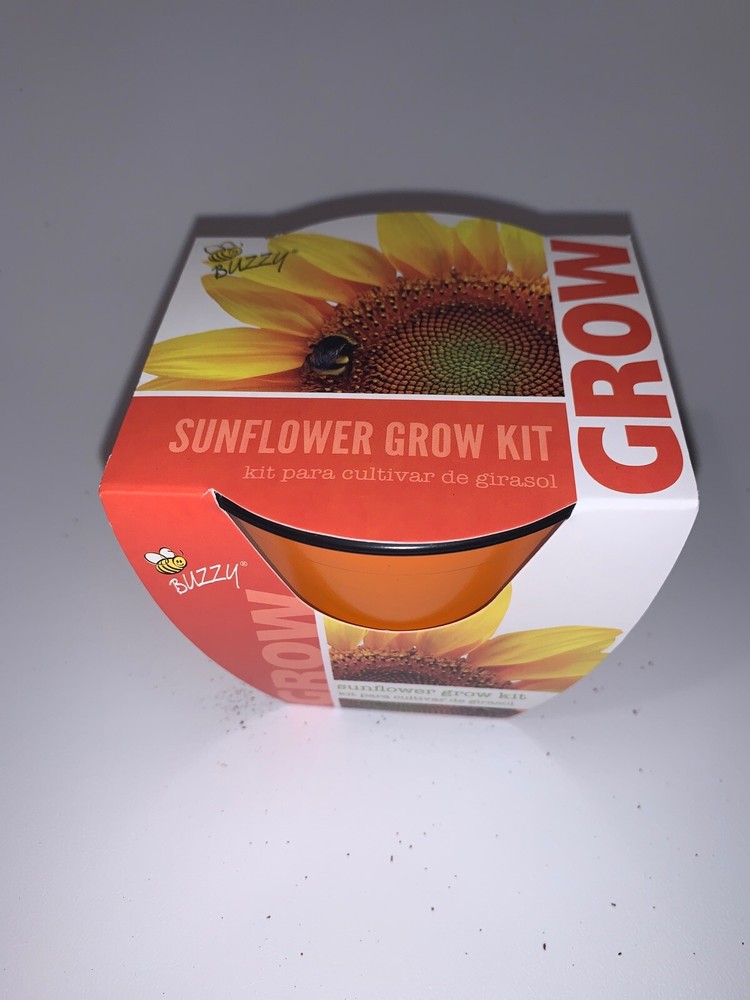 Buzzy Sunflower Growing Kit New #3050