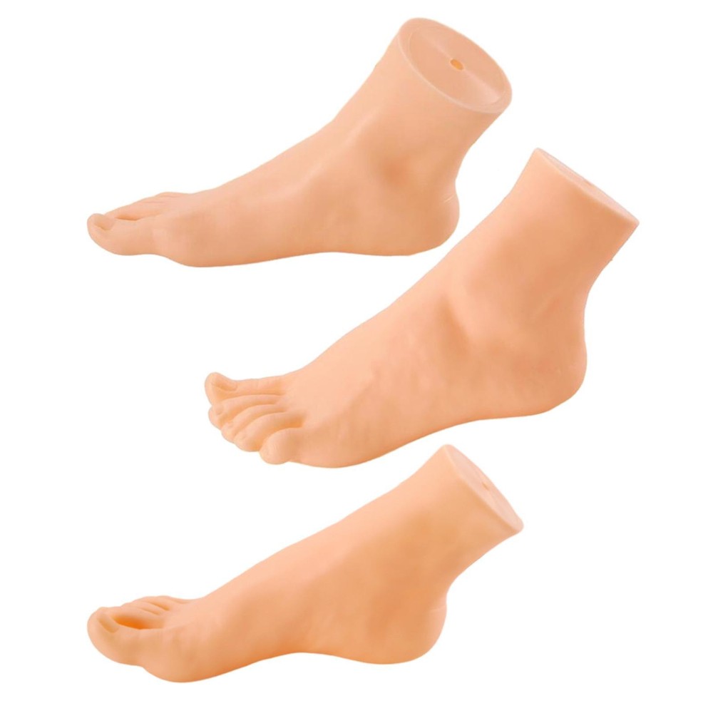 Foot Model Mannequin Foot Display Simulation
