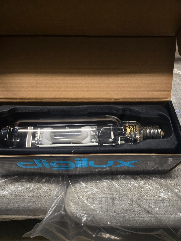 digilux 600 watt digital light bulbs