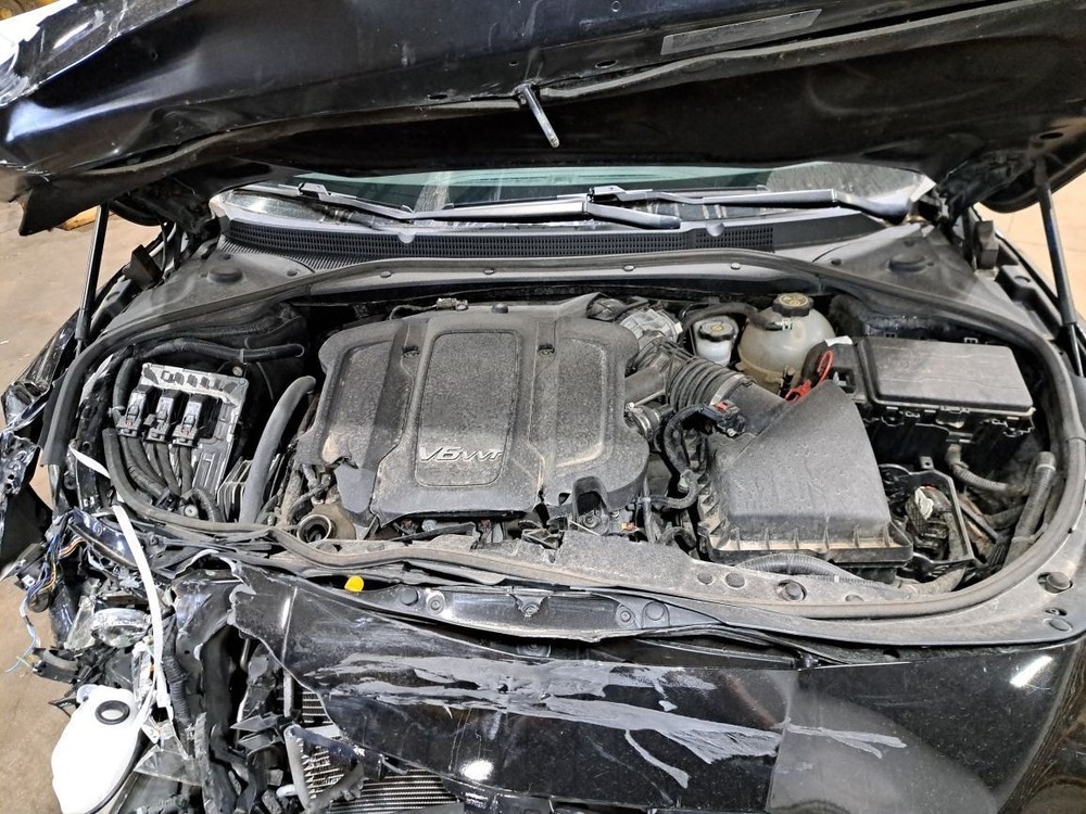 2017 Lacrosse Jack Sku#4427227