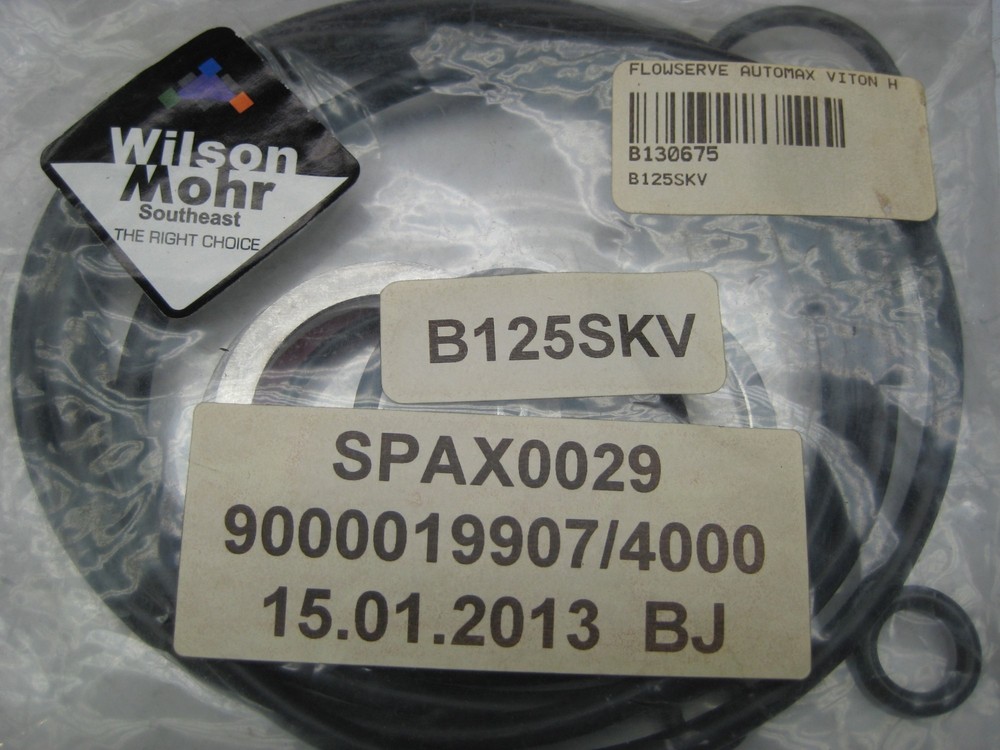 FLOWSERVE 125SKV KIT NSFS