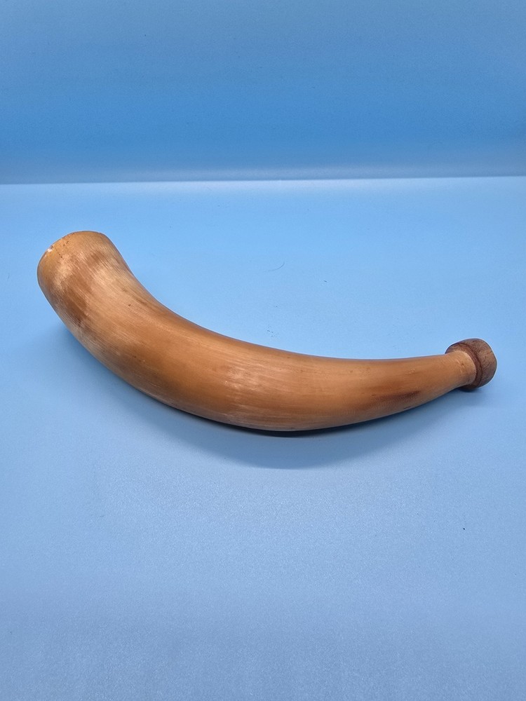 Antique Powder Horn