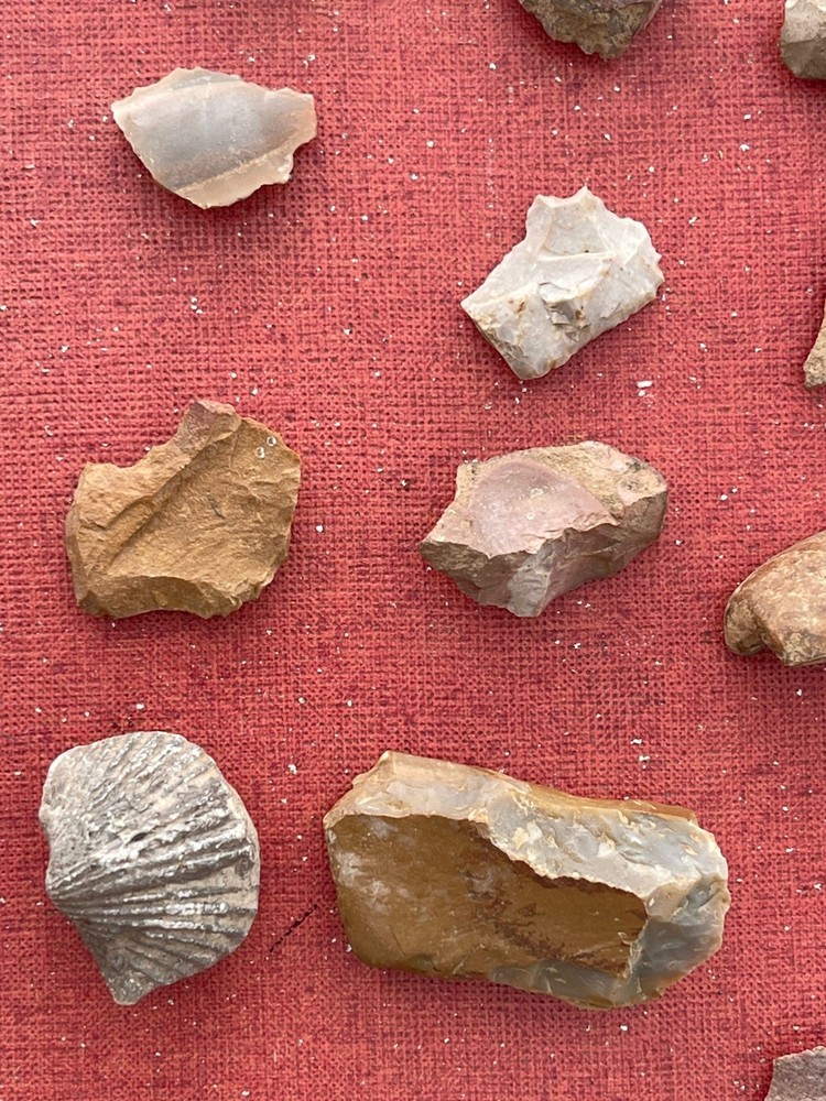 FLINT CHERT STONE