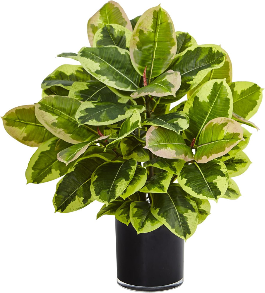 Artificial Rubber Plant in Glossy Cylinder (Real Touch)