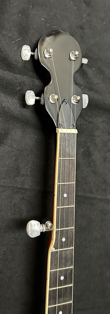 5 String Banjo, Brand Nee