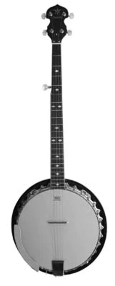 Danville Banjo