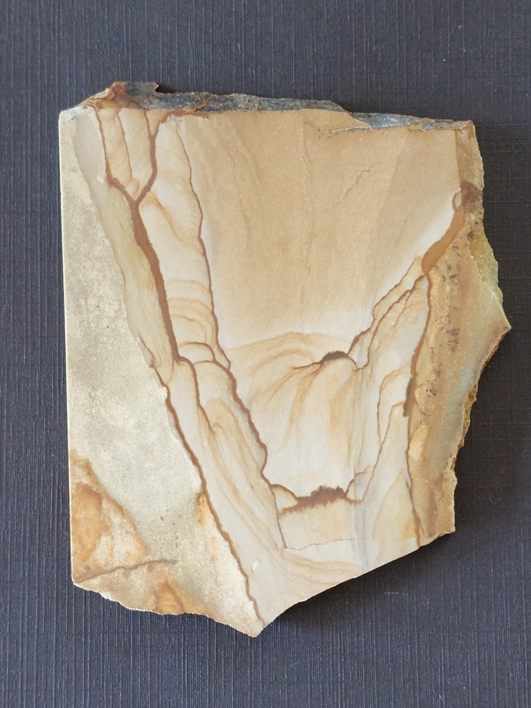 Biggs Picture Jasper Slab Old Material Oregon