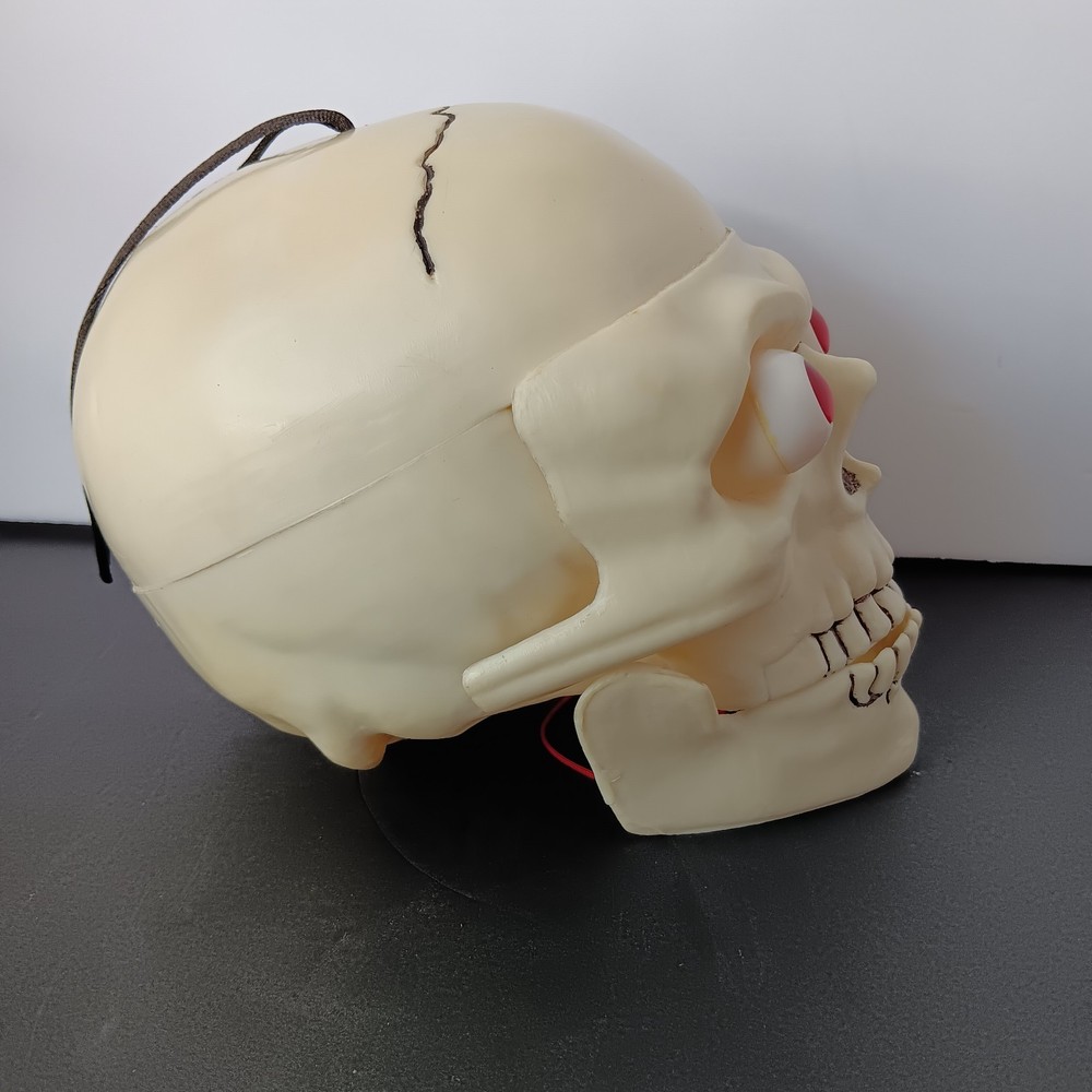 Lighted-Talking Plastic Skull