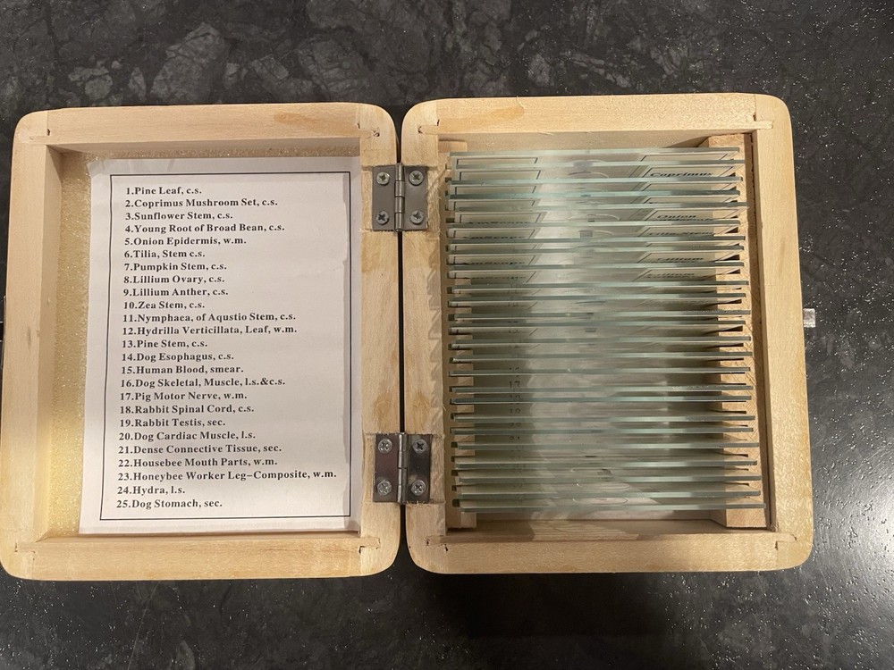 AmScope 25 Prepared Biology Microscope Slides