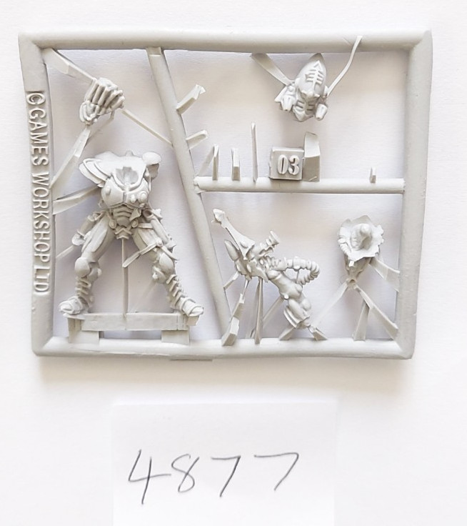 Warhammer 40K Aeldari Striking Scorpions Fine Cast