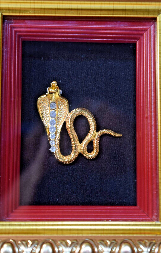 Cobra Snake Shadow Box Frame