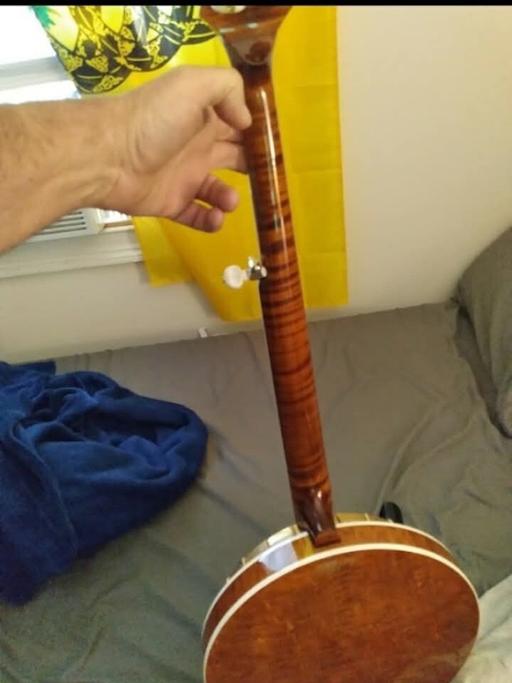 custom curly maple 🍁 5 string gold plated Greg Rich hardware banjo