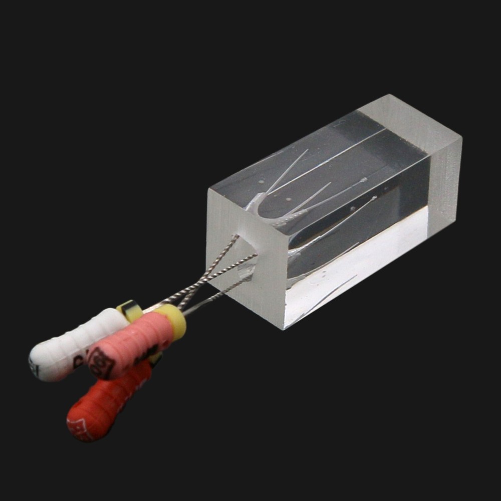 10pcs Dental Endodontic Practice Model 3 Root Canals Endo Training Block Clear