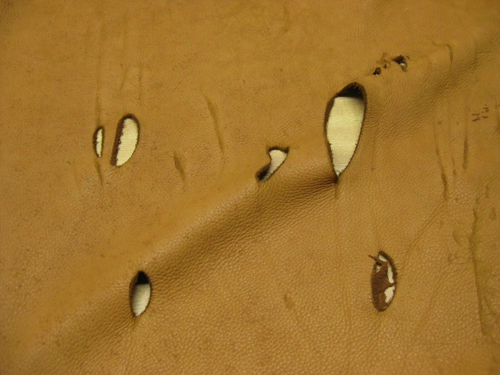 Top Grain Deer Leather R80 # 0010914