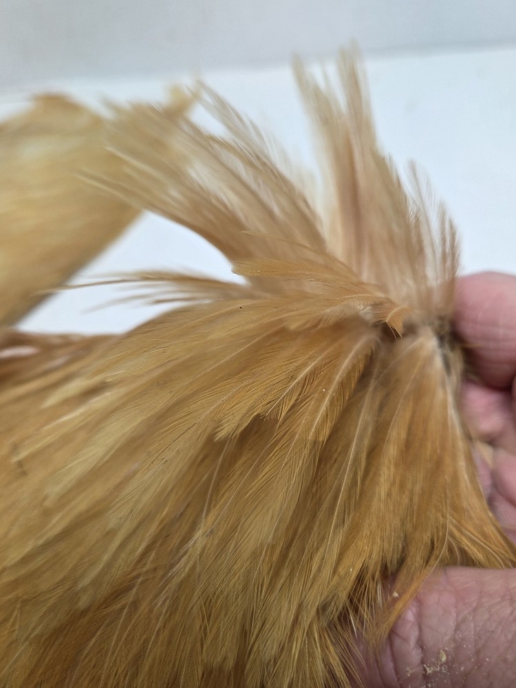 Two Ginger Saddle Hackles Fly Tying Materials Unbranded