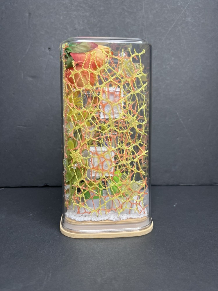 Yellow and orange hello kitty Jumping Spider Enclosure