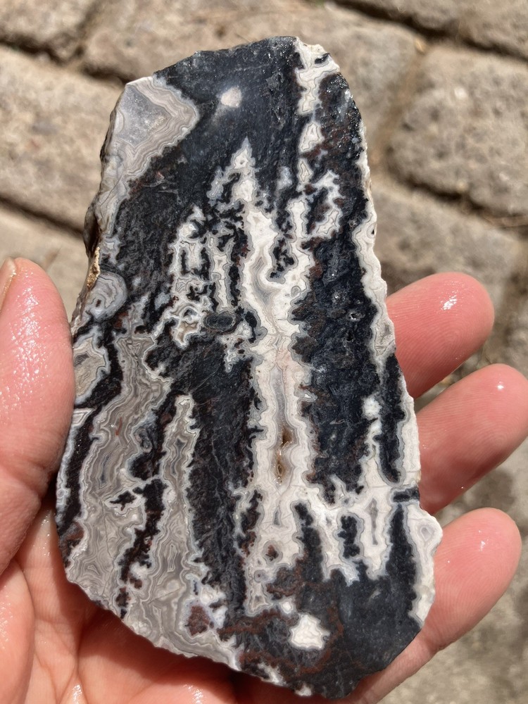 Zebra Jasper Slab