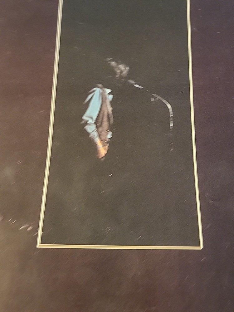 The Concert For Bangladesh Program/Book