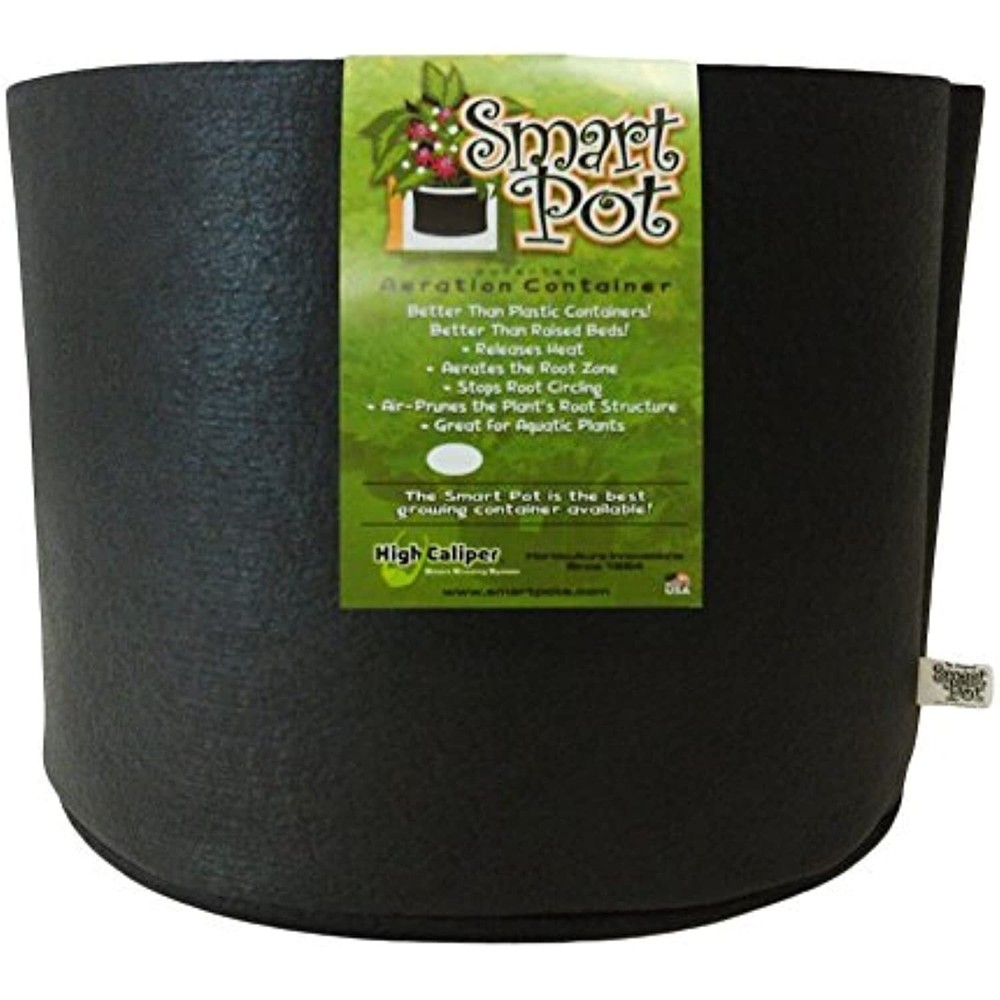 High Caliper 100047411 Smart Display Pot, 20 Gallon