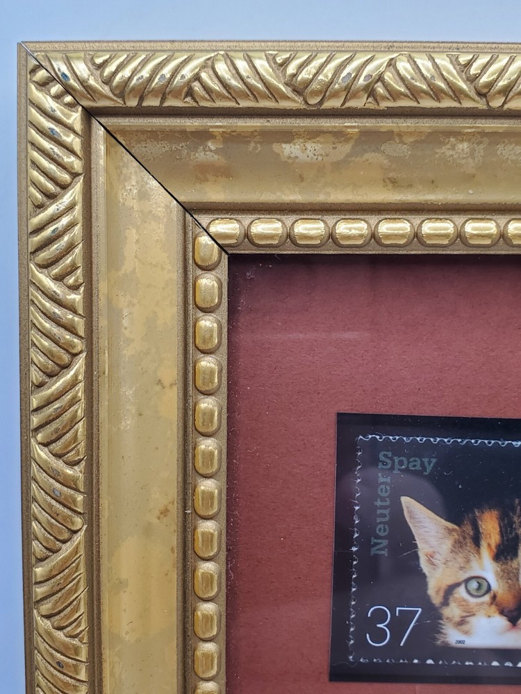 2002 USPS Kitten Framed Print & Postage Stamp "Neuter & Spay Cat" 37 Cent