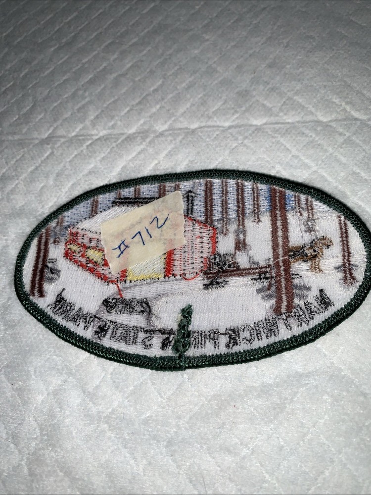 2007 Hartwick Pines State Park Patch #712