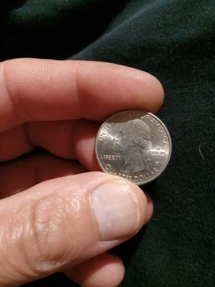 2019 P River Of No Return Quarter