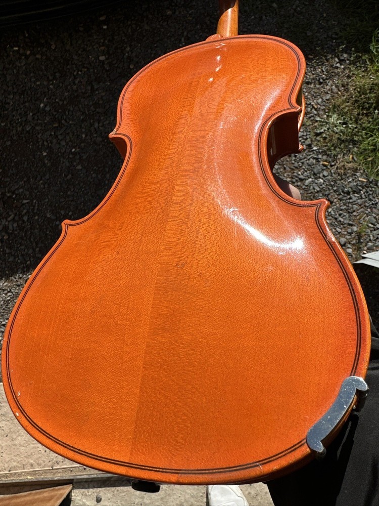 Violin Reghin Romania