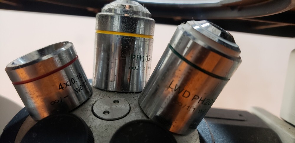 Motic AE31 Series Inverted Microscope with 3 Objectives