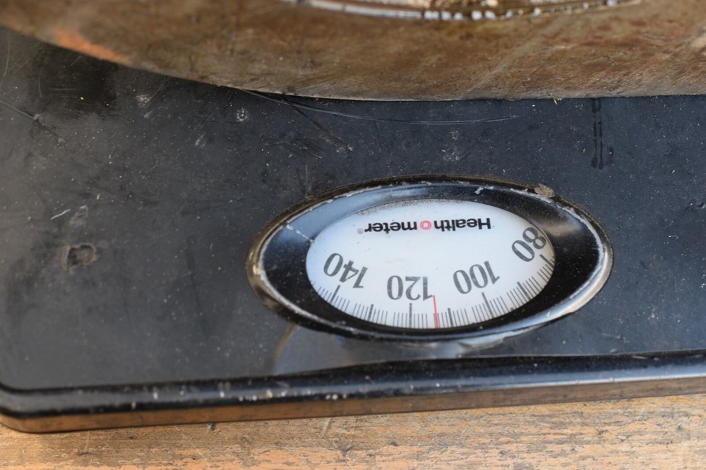 Troyke rotary table BH-12