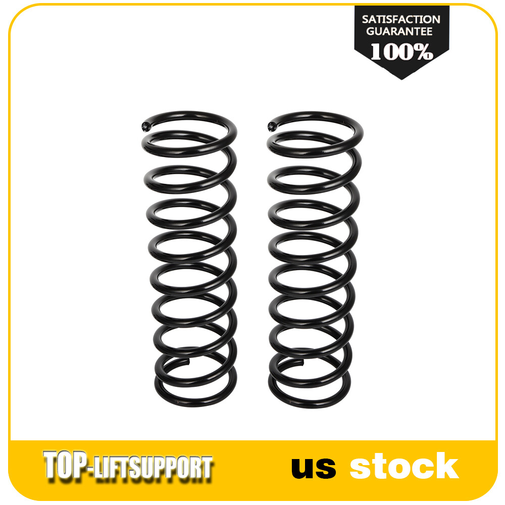 2x Rear Driver & Passenger Coil Spring Set for 2000-2004 Ford Focus 2.0L 2.3L