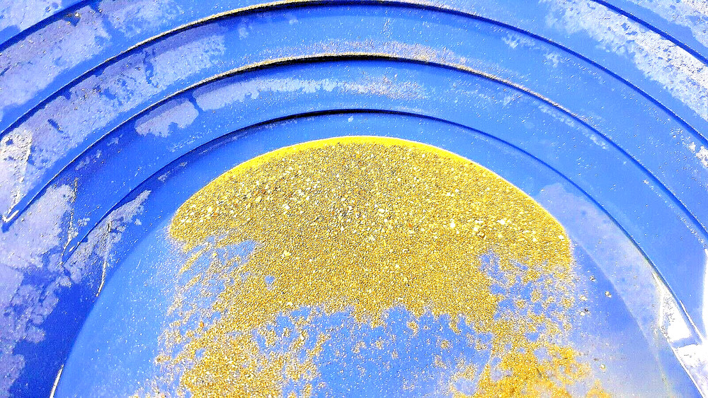 17lbs gold paydirt unsearched