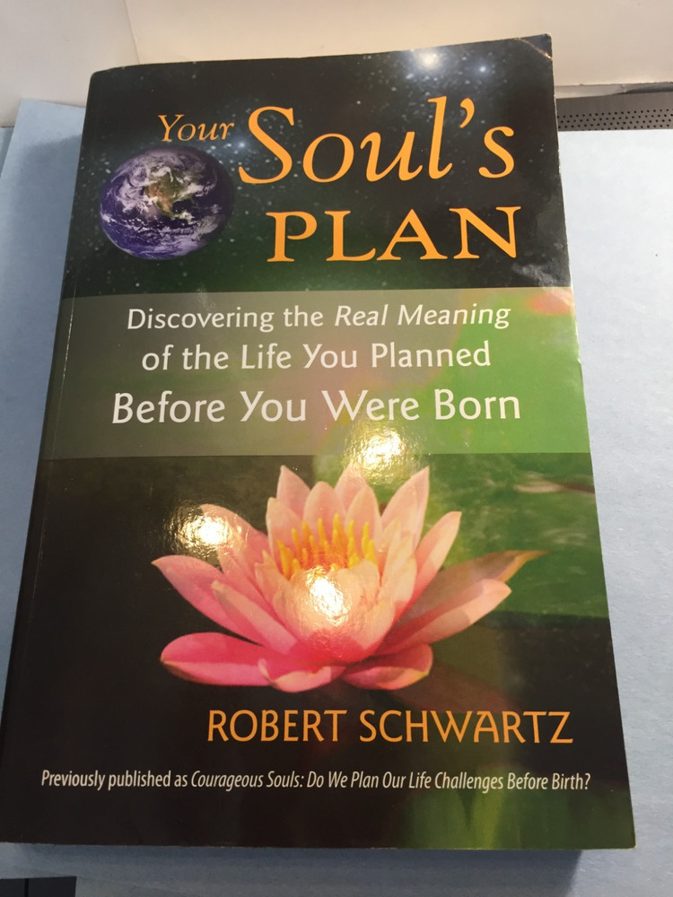 The Soul's Plan by Robert Schwartz