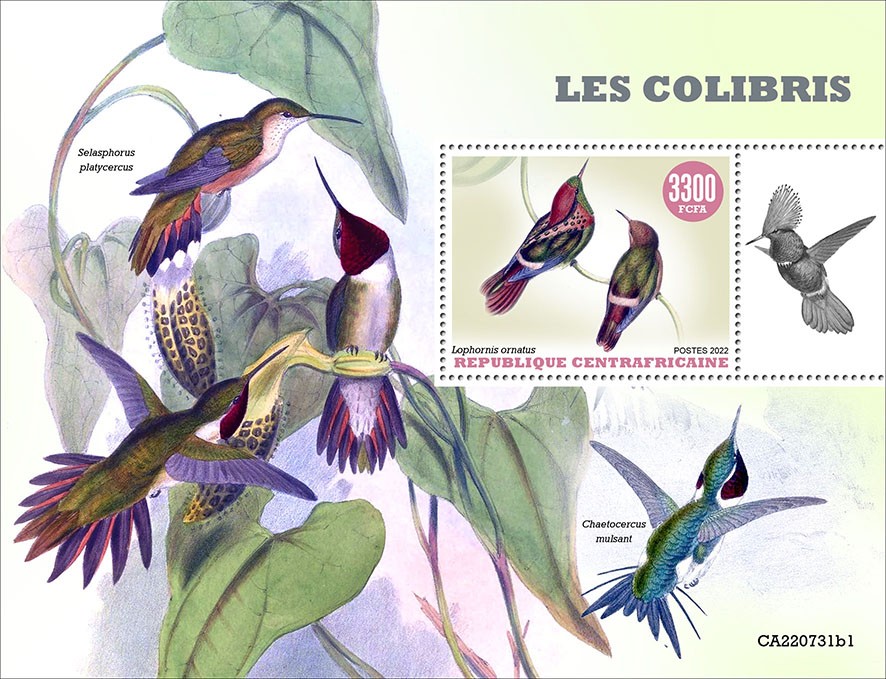 Hummingbirds