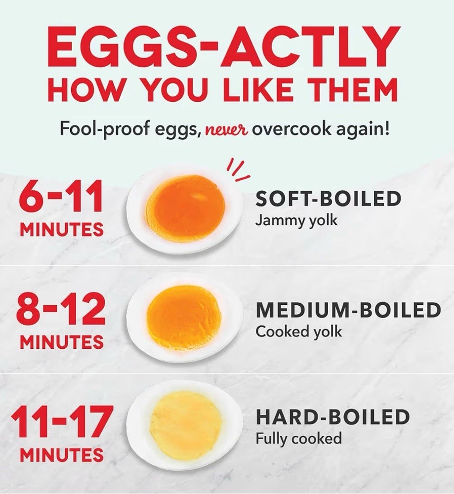 DASH Rapid Egg Cooker: 7 Egg Capacity Electric Egg Cooker for Hard Boiled Eggs,