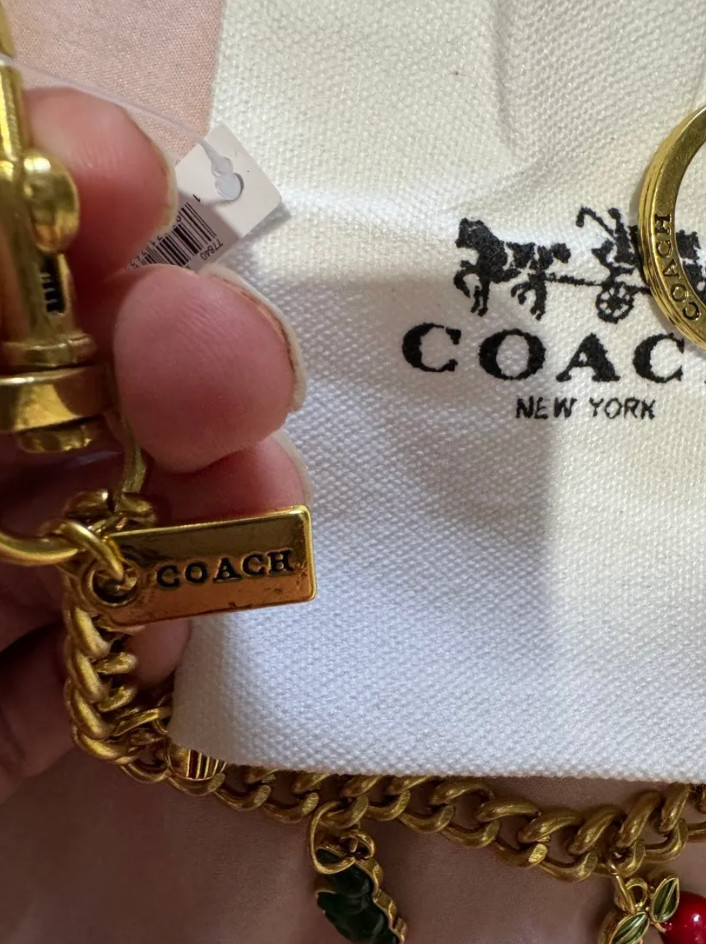 Motif Chain Coach Bag Charm