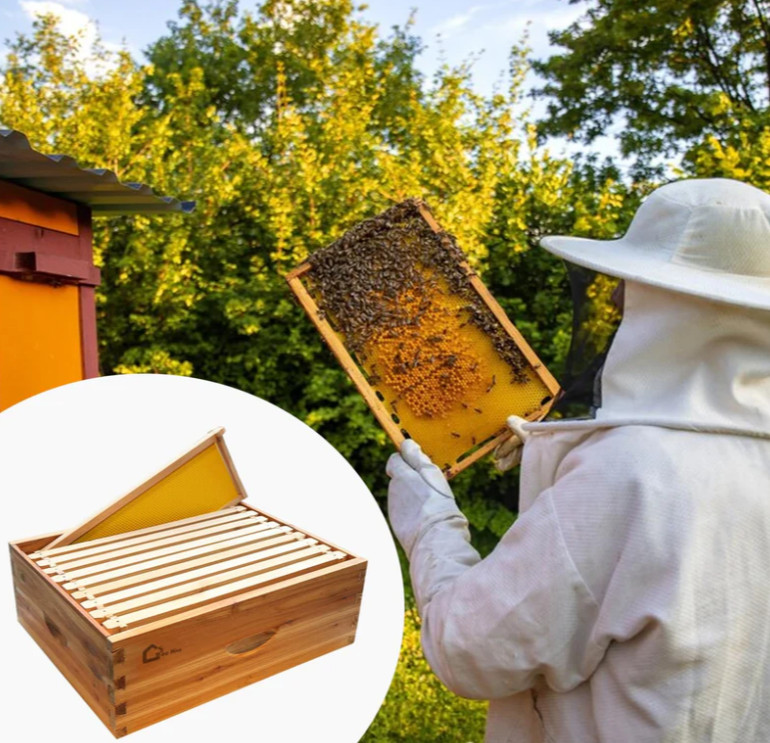 Garvee 10-Frame Langstroth Medium Super Bee Hive Box, Beeswax-Dipped, Cedarwood,