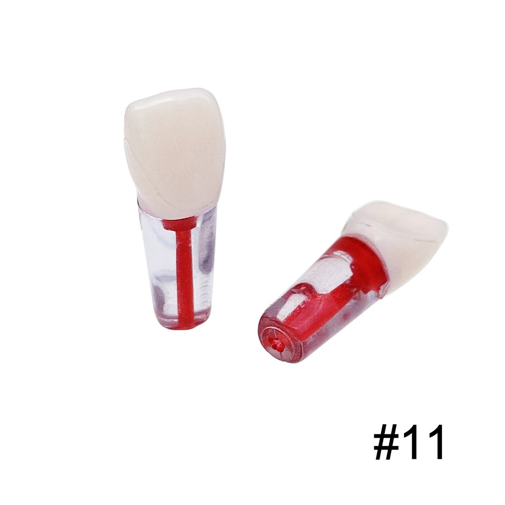 10Pcs Dental Endo Root Canal Teeth Model Study RCT Practice Typodont Model