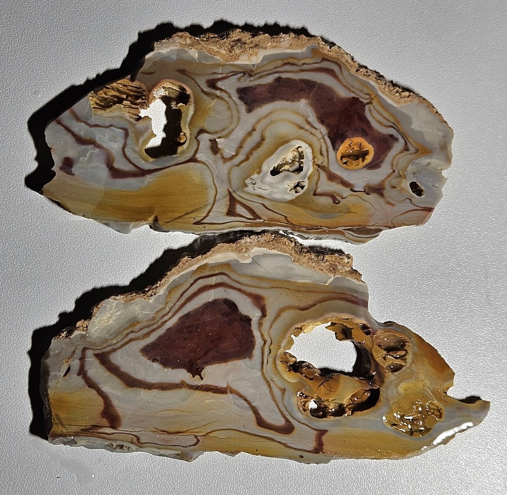 Rhyolite Two Lapidary Slabs 105 Grams
