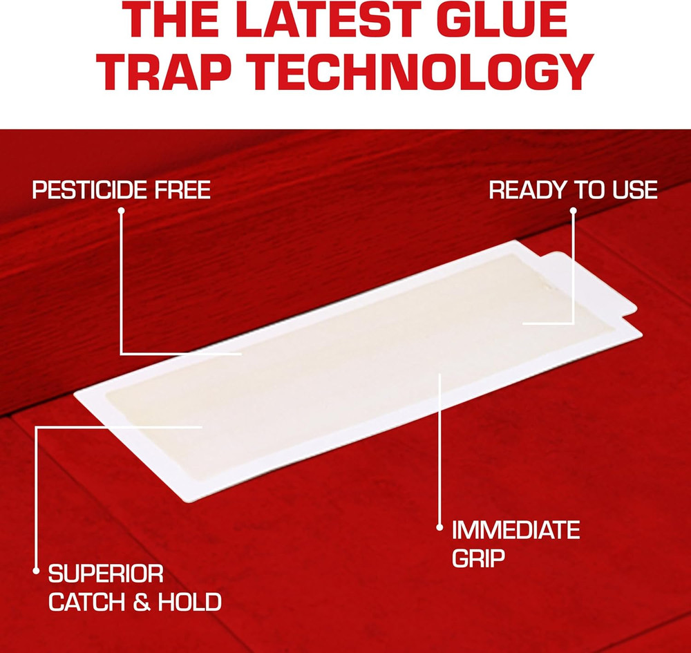 Household Pest Glue Trap, 4-Pack